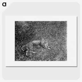 1-95_Leslie-Adkin_picture