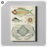 1-95_Louis-Renard_canvas
