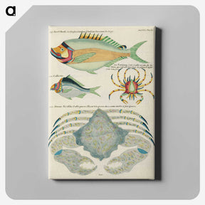 1-95_Louis-Renard_canvas
