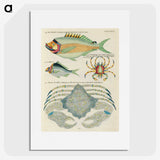 1-95_Louis-Renard_picture