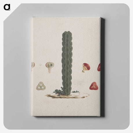 1-95_Luigi-Balugani_canvas