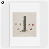 1-95_Luigi-Balugani_picture