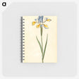 1-95_Maria-Sibylla-Merian_memo