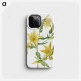 1-95_Mary-Vaux-Walcott_phone