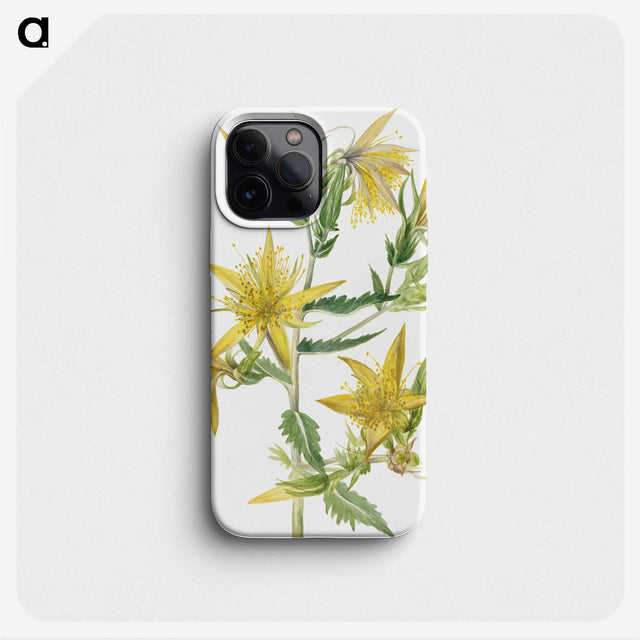 1-95_Mary-Vaux-Walcott_phone