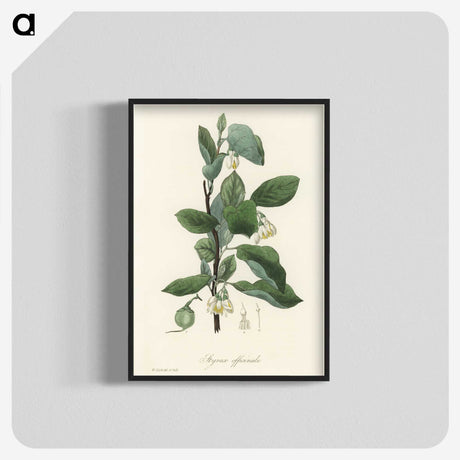 1-95_Medical-Botany_blk-crop