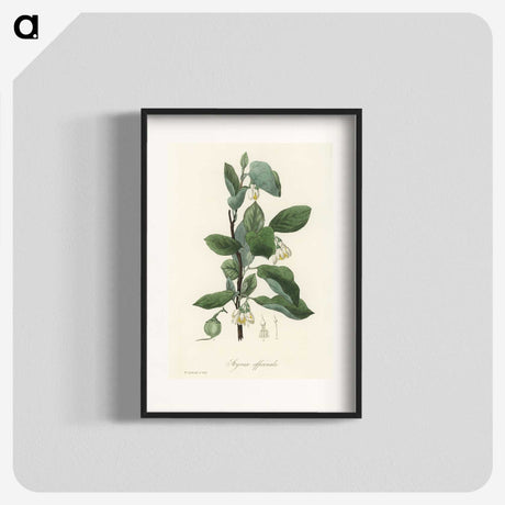 1-95_Medical-Botany_blk