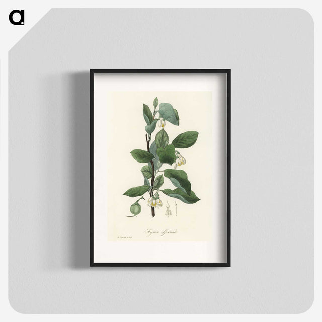 1-95_Medical-Botany_blk
