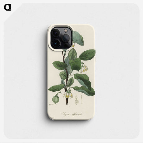1-95_Medical-Botany_phone