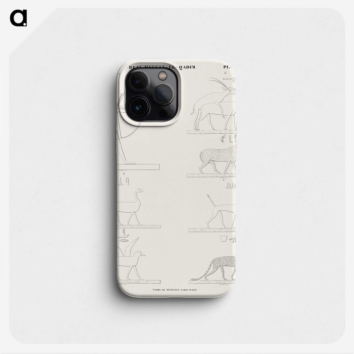 1-95_Monuments-of-Egypt-and-Nubia_phone