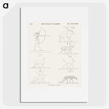 1-95_Monuments-of-Egypt-and-Nubia_picture
