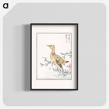 アートポスター-Eastern Redshank and Pink Flower
 - 鳥類図鑑 Poster.