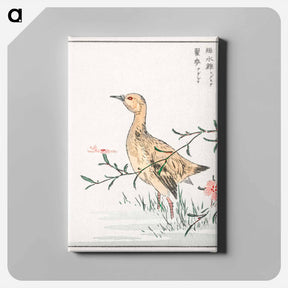 アートパネル-Eastern Redshank and Pink Flower
 - 鳥類図鑑 Canvas.