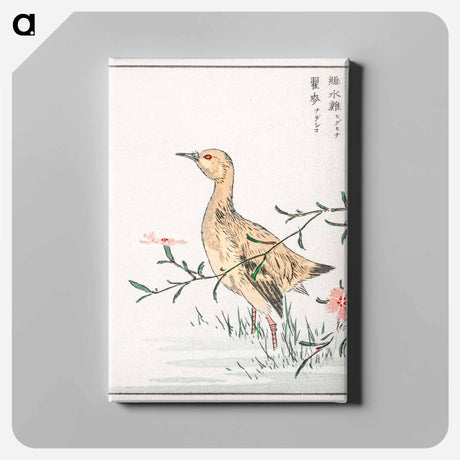 アートパネル-Eastern Redshank and Pink Flower
 - 鳥類図鑑 Canvas.