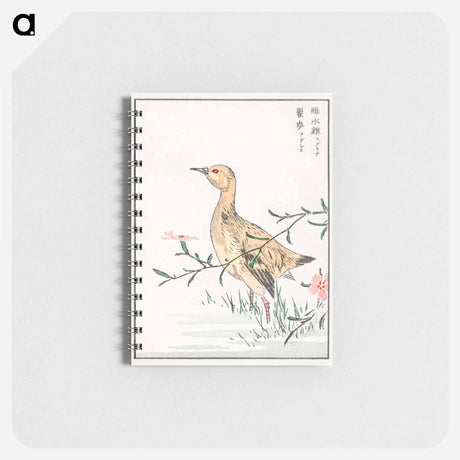 アートメモ帳-Eastern Redshank and Pink Flower
 - 鳥類図鑑 Memo.