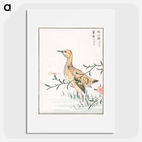 アートポスター-Eastern Redshank and Pink Flower
 - 鳥類図鑑 Poster.