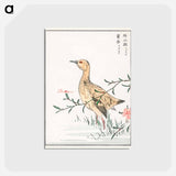 アートポストカード-Eastern Redshank and Pink Flower
 - 鳥類図鑑 Postcard.