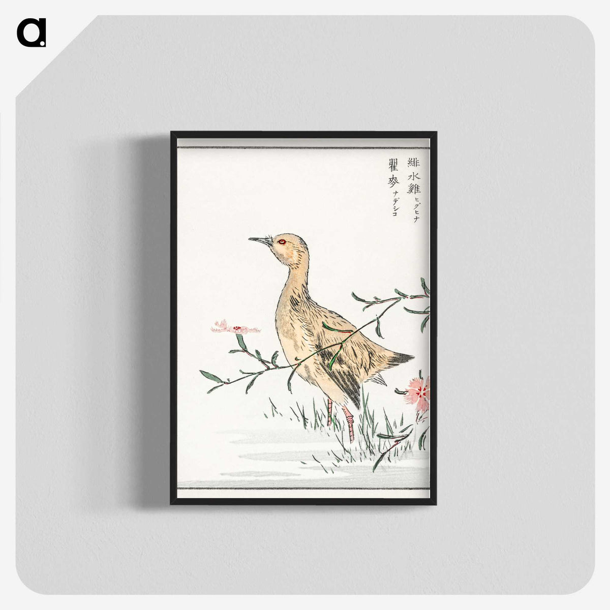 1-95_Pictorial-Monograph-of-Birds_blk-crop