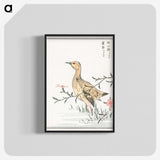 1-95_Pictorial-Monograph-of-Birds_blk-crop