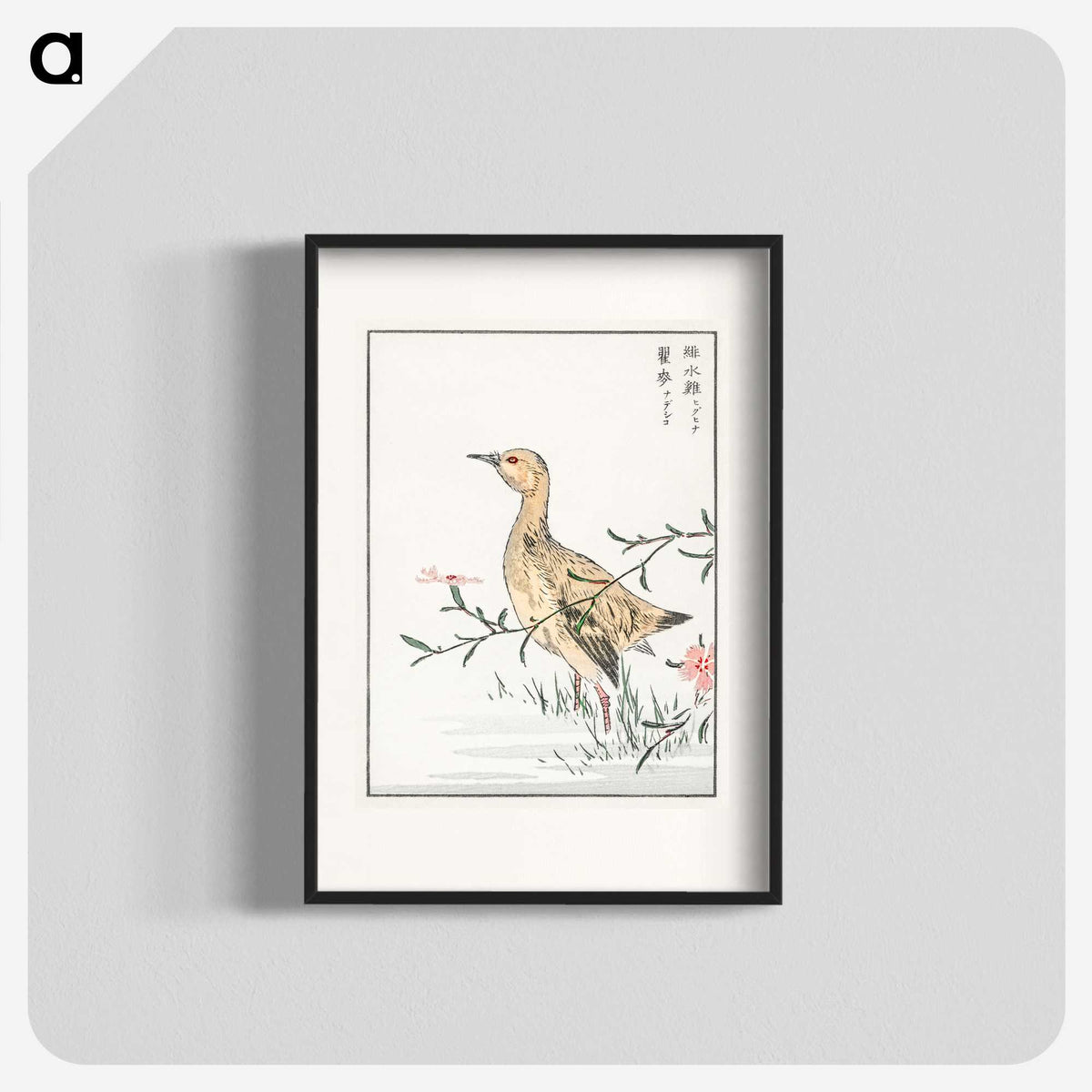 1-95_Pictorial-Monograph-of-Birds_blk