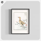 1-95_Pictorial-Monograph-of-Birds_blk
