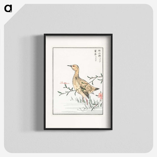1-95_Pictorial-Monograph-of-Birds_blk