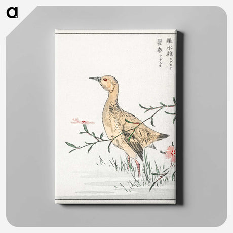 1-95_Pictorial-Monograph-of-Birds_canvas