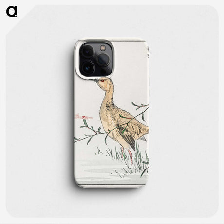 1-95_Pictorial-Monograph-of-Birds_phone