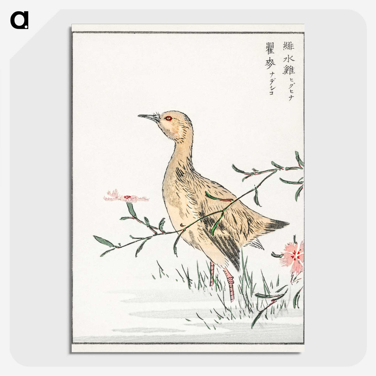 1-95_Pictorial-Monograph-of-Birds_picture-crop