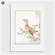 1-95_Pictorial-Monograph-of-Birds_picture