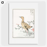 1-95_Pictorial-Monograph-of-Birds_picture