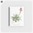1-95_Pierre-Joseph-Redoute_memo