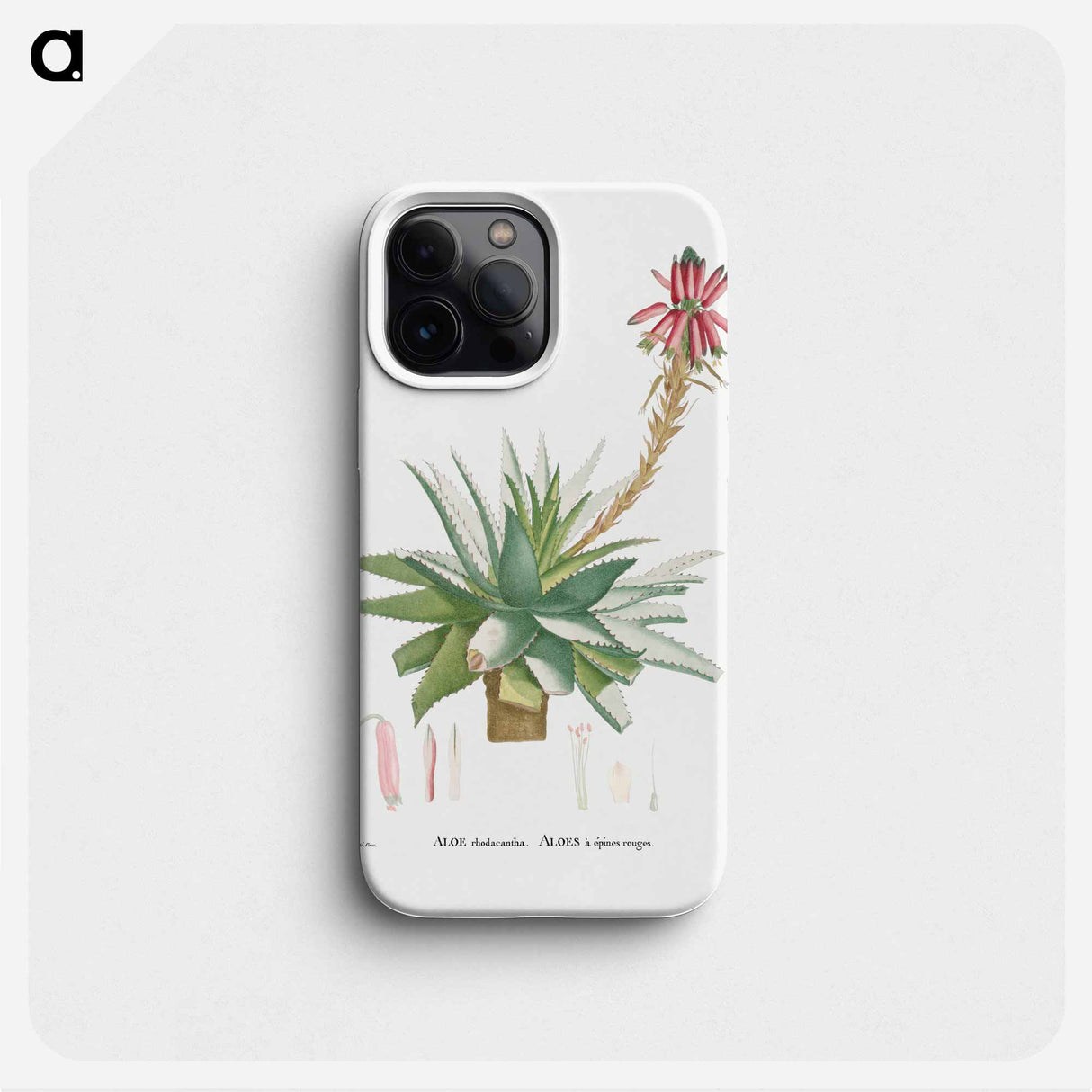 Aloe Rhodacantha - Pierre Joseph Redouté Phone Case.