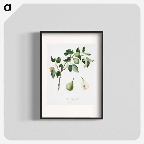1-95_Pomona-Italiana_blk