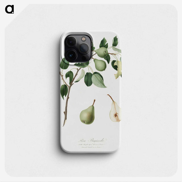 1-95_Pomona-Italiana_phone
