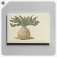 1-95_Robert-Jacob-Gordon_canvas