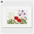 1-95_Seiyo-Soka-Zufu_picture