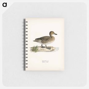 アートメモ帳-Pintail
 - スヴェンスカ フォグラル Memo.