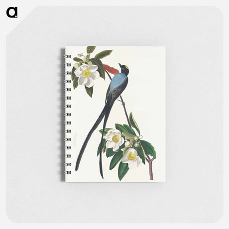 アートメモ帳-Fork-tailed Flycatcher from Birds of America
 - アメリカの鳥たち Memo.