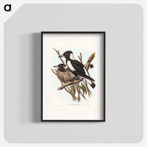 オーストラリア