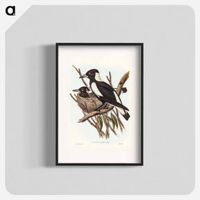 アートポスター-Piping Crow-Shrike
 - オーストラリアの鳥 Poster.
