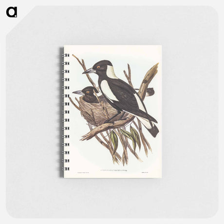 アートメモ帳-Piping Crow-Shrike
 - オーストラリアの鳥 Memo.