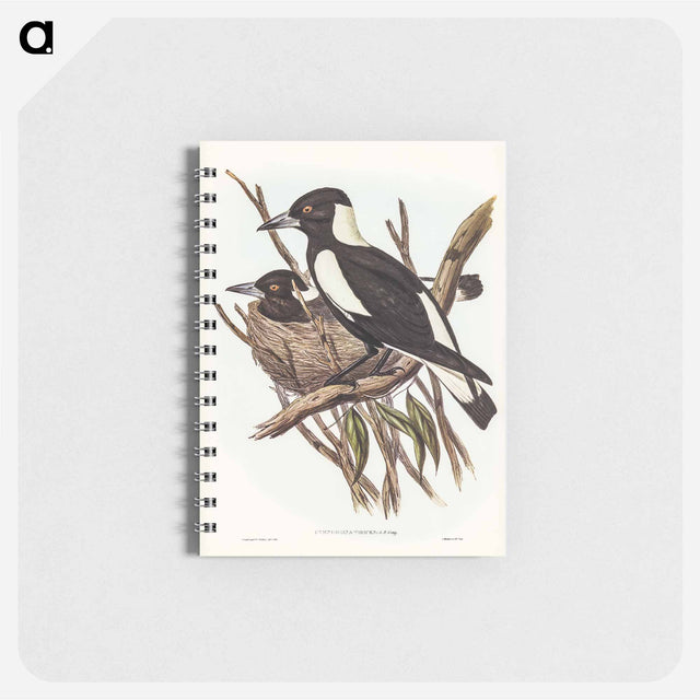 アートメモ帳-Piping Crow-Shrike
 - オーストラリアの鳥 Memo.