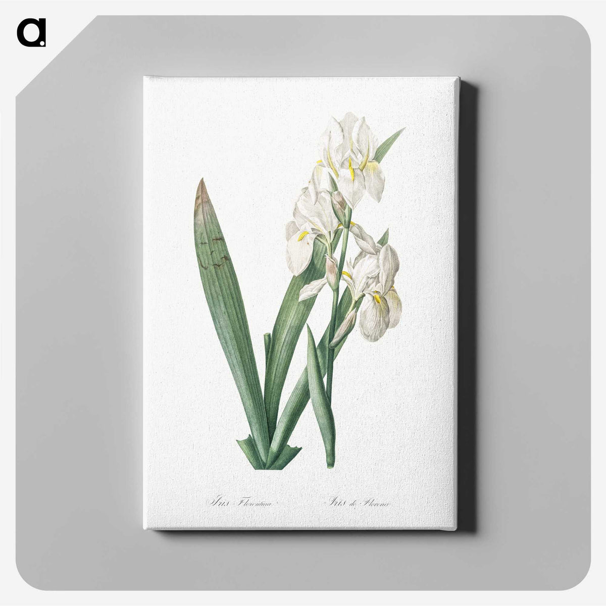 1-95_The-Lilies_canvas