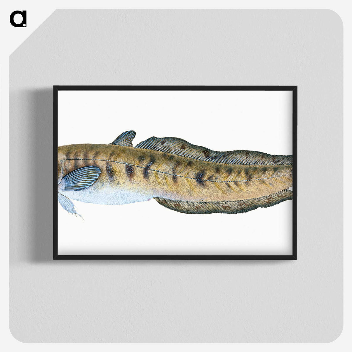 1-95_The-Natural-History-of-British-Fishes_blk-crop