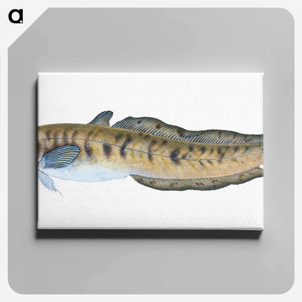 1-95_The-Natural-History-of-British-Fishes_canvas