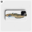 1-95_The-Natural-History-of-British-Fishes_phone