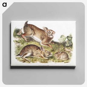 1-95_The-Viviparous-Quadrupeds_canvas