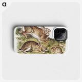 1-95_The-Viviparous-Quadrupeds_phone
