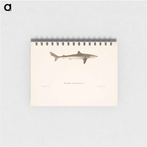 アートメモ帳-Tope shark - ヴィルヘルム フォン ライト Memo.